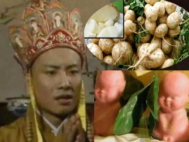 Phim - Sự thật bất ngờ về quả nhân sâm trong "Tây du ký 1986"