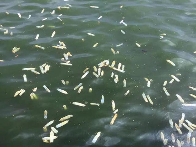 Tin tức trong ngày - Bao cao su nổi trắng hồ Tây: Công an vào cuộc điều tra