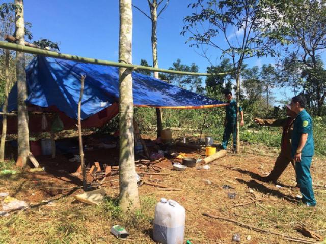 Tin tức trong ngày - Sét đánh trúng chòi, 3 người thương vong