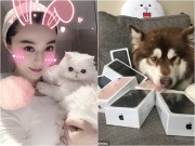 Phim - Phạm Băng Băng thua xa &quot;kẻ không đội trời chung&quot; về cách chiều thú cưng xa xỉ