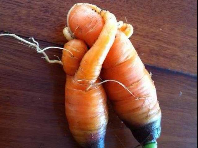 Tin vịt - Tin vịt: Kiến cắn cô em vợ, anh rể "răng môi lẫn lộn"