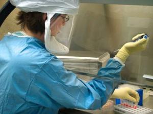 Tin tức trong ngày - Xuất hiện ca nhiễm Ebola đầu tiên trên đất Mỹ