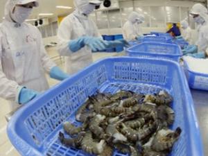 Thị trường - Tiêu dùng - Việt Nam kháng kiện vụ Mỹ áp thuế tôm bán phá giá