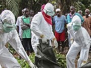 Tin tức trong ngày - WHO: Đã có 3.338 người tử vong vì dịch Ebola