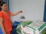Thị trường - Tiêu dùng - Phát hiện phân bón lá và phân vi sinh giả