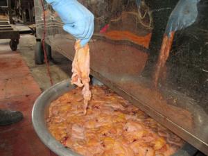 Thị trường - Tiêu dùng - Chà bông: Càng rẻ càng độc