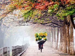 Thư tình: Thu Hà Nội đẹp đến tê người