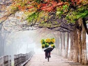 Thư tình: Thu Hà Nội đẹp đến tê người