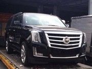 Ô tô - Xe máy - &quot;Siêu&quot; SUV Cadilac Escalade 2015 &quot;nhập tịch&quot; Hà Nội