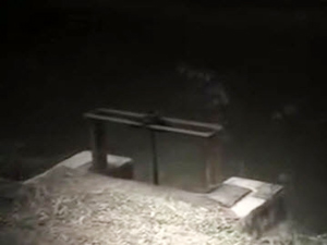 Pháp luật - Hành trình phá án: Túng tiền đoạt mệnh người tình