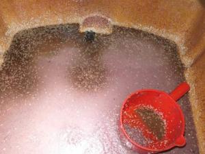 Thị trường - Tiêu dùng - Bình Dương: Dòi lúc nhúc trong thùng chế biến mắm tôm