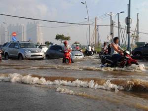 Tin tức trong ngày - TPHCM xuất hiện "sóng bạc đầu" trên… phố