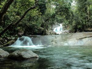 Tin tức trong ngày - Úc: Cô gái sống sót 17 ngày trong rừng nhờ ăn côn trùng