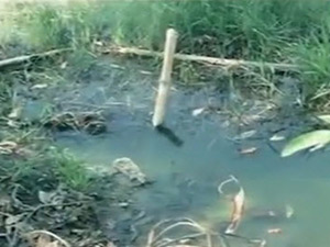 Pháp luật - Hành trình phá án: Xác chết trong hồ xử lý nước thải