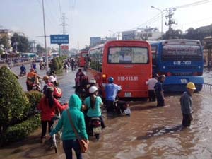 TPHCM: Đỉnh triều lập mức lịch sử mới