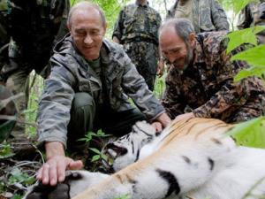Tin tức trong ngày - Hổ của Putin "đào tẩu" sang Trung Quốc