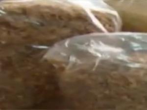 Thị trường - Tiêu dùng - Ruốc siêu rẻ "bẫy" người tiêu dùng