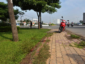 Pháp luật - Hành trình mang xác cha từ Vĩnh Long lên TPHCM phi tang