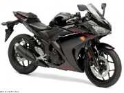 Ô tô - Xe máy - Yamaha YZF-R3 giá khoảng 100 triệu đồng ra mắt