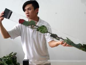Thị trường - Tiêu dùng - Hoa hồng dài 1,6 m giá 700.000 đồng hút khách Sài Gòn