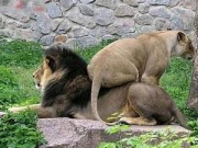 Thơ vui 20/10 của chị em