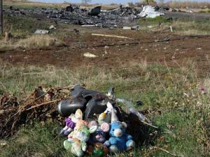 Hà Lan: Máy bay MH17 có thể bị bắn từ trên không