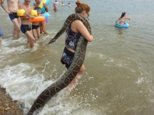 Phi thường - kỳ quặc - Những thú cưng "siêu độc" của người dân Trung Quốc