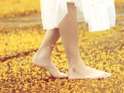 Thơ tình: Thu lặng lẽ