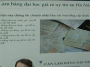 Video An ninh - Làm bằng giả công khai như kinh doanh ở chợ