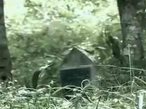 Pháp luật - Những cái chết bị ruồng bỏ (Phần 1)