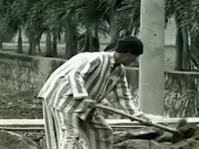 Những cái chết bị ruồng bỏ (Phần 2)