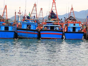 Tài chính - Bất động sản - 16.000 tỷ ưu đãi ngư dân: Chưa ai vay được