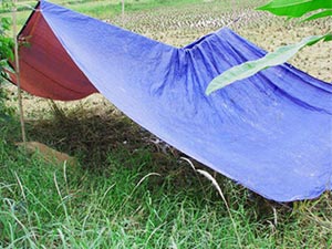 Pháp luật - Điều tra nguyên nhân người đàn ông chết thảm bên chòi canh