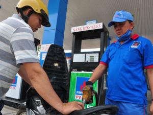 Thị trường - Tiêu dùng - Xăng sinh học còn... xa lạ