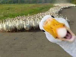 Cười 24h - Tin vịt: "Hội không sợ vợ” đã giải tán