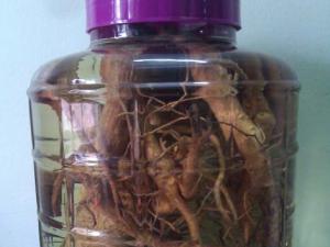 Sức khỏe đời sống - Lào Cai: Một người tử vong do uống rượu ngâm rễ cây