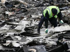 Vụ MH17: Bắt đầu thu dọn mảnh vỡ máy bay rơi