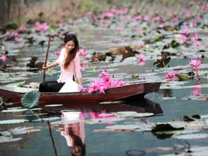 Du lịch - Vãn cảnh chùa Hương mùa hoa Súng