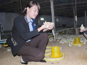 Bạn trẻ - Cuộc sống - Nữ Trưởng đài phát thanh kiếm trăm triệu mỗi năm