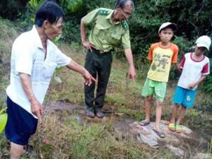 Tin tức trong ngày - Truy lùng heo rừng tấn công học sinh lớp 9 tử vong
