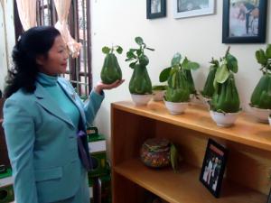 Thị trường - Tiêu dùng - Bưởi tay Phật siêu độc, lạ: Đại gia chưa đến lượt