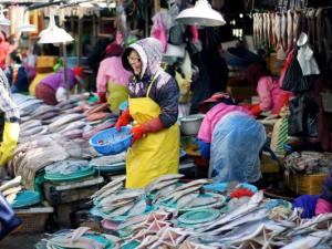 Du lịch - Đến thăm chợ hải sản Jagalchi nổi tiếng xứ Hàn
