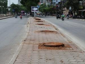 Lại chặt cây để làm đường sắt Nhổn – Ga Hà Nội