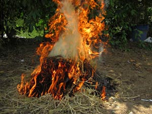 Pháp luật - Bố chất rơm đốt con vì trộm vài gói mì tôm