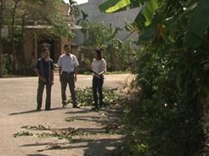 Tin tức trong ngày - "Có người thả rắn lục đuôi đỏ" là tin thất thiệt