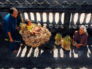 Du lịch - 15 bức ảnh đẹp sững sờ về thiên nhiên, con người VN