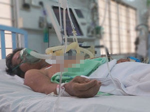 Tin tức trong ngày - Kỳ diệu cây lục bình cứu bà lão sau 5 ngày trôi sông