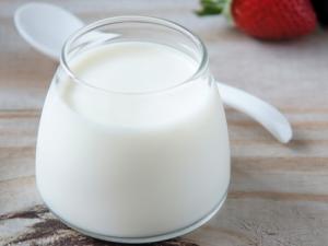 Sữa chua có thể ngừa đái tháo đường type 2