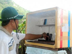 Tin tức trong ngày - Chuyện nghe điện thoại... trên cây ở Côn Đảo