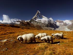 Du lịch - 25 bức ảnh đẹp ngoạn mục về những ngọn núi